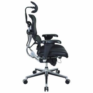 ergo human