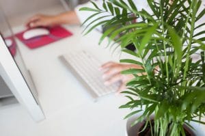 Pozitivan utican biljaka na rad u kancelariji