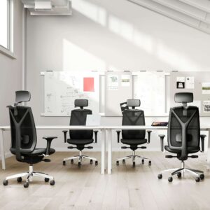 velia ambiente2
